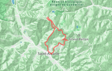 Xtrails Vosges - Trail du Grand Ballon