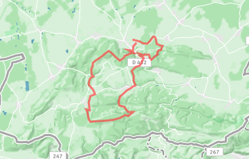 Les Courses du Jura Alsacien - Trail de Ferrette