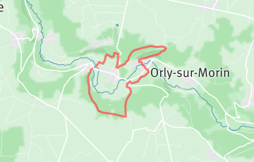 Trails de la Brie des Morin - Course des Têtards