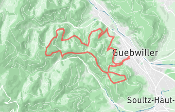 Trail Fastienne - Fastienne Trail