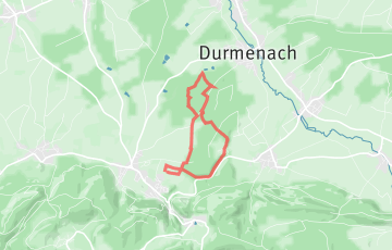 Les Courses du Jura Alsacien - Course Nature