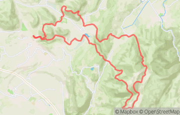Trail du Circuit de la Sûre - Grand Trail Solo