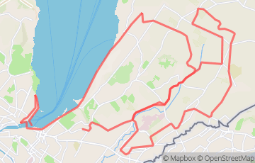 Marathon de Genève