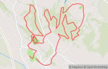 Trail des Dingos - Trail 17 km