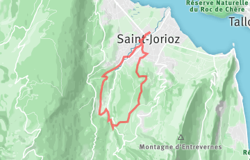Trail du Laudon - Trail Des Charmettes