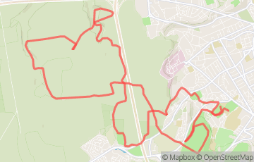 Trail des Lumières - 26km
