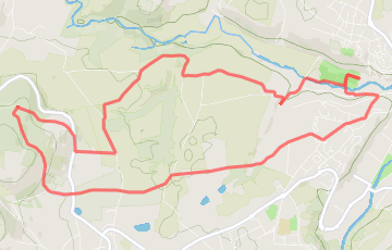 Course du début de l'An - 11km