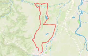 Le Marathon de la Bière - Marathon