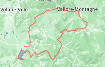 Grands Trails du Livradois-Forez - Trail des Druides
