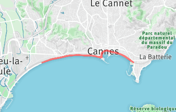 Le Semi de Cannes