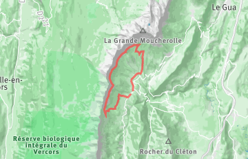 Trail du Tétras Lyre - 19km