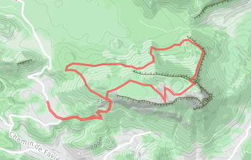 Trail des Amoureux du Coudon