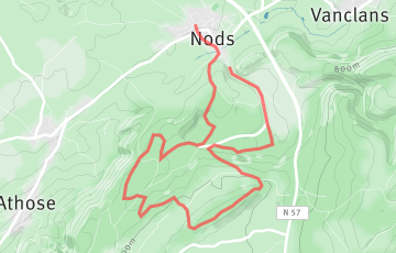 Trail des Premiers Sapins - L'épicéa