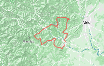 Trail Cevenol - Grand Trail Cevenol