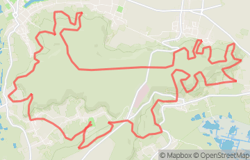 Trail du bois des côtes 
