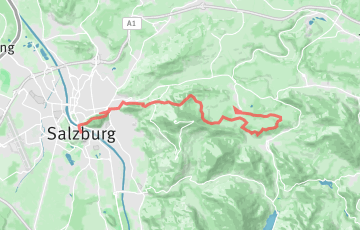 Mozart 100 - Mozart Half Marathon