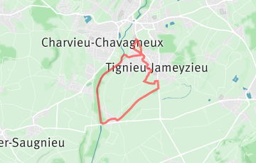 Cross de la Locomotive - 10km