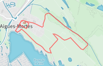 Foulée des Remparts