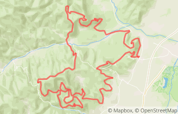 Trail du Haut Koenigsbourg - UTHK