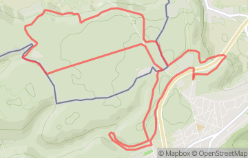 Trail Daniel Feite - 10km