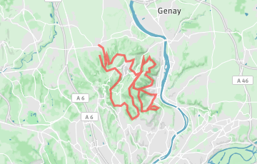 Trail des Cabornis