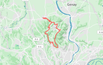 Trail des Cabornis