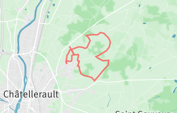 La Trottine des Copines - 11km