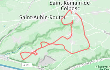Les Foulées de la Communaute - 21.1km