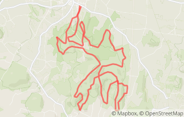 Mont Mièry Race VTT - Chrono