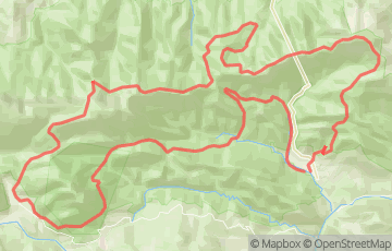 Salomon Ultra Pirineu - Ultra