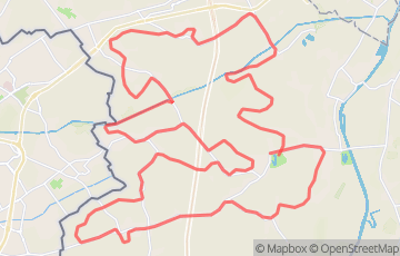Marathon d'Estaimpuis
