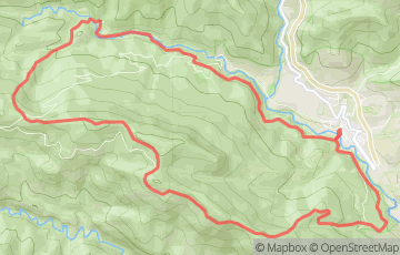 Salomon Ultra Pirineu - Mitja