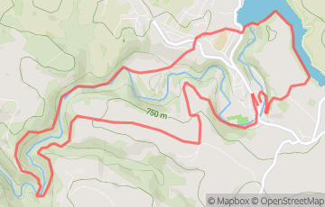 Trail hivernal du Lévézou - 12km