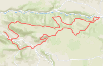 Hivernale des Templiers - Marathon de l'Orchis