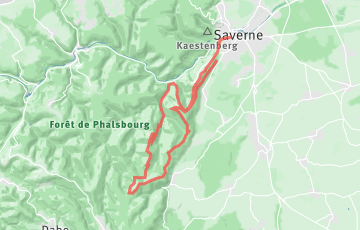 Trail du Haut-Barr - 28km