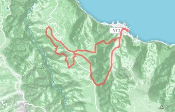 Maxi Race Madeira - Medium