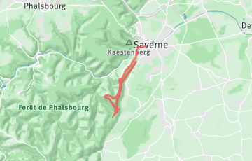 Trail du Haut-Barr - 13km