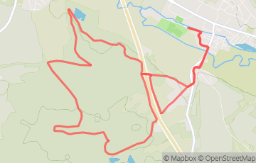 Grandvi'Trail - Marche 11km