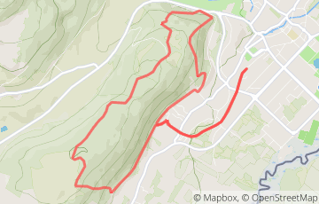 La Dix'Vonne Run