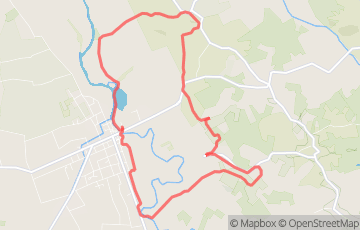 Course des Vignobles 12 KM