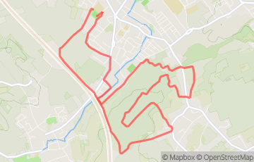 Trail du chardon - La Bruyère - 11KM