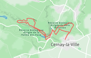 Les Foulées Cernaysiennes - 10km