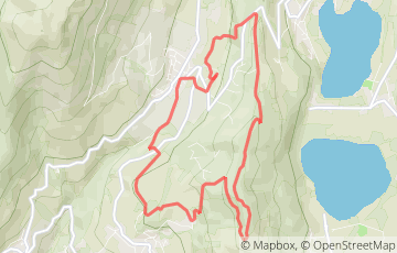 Vaulx Tour Trail - Le 10km - Marche