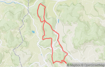 Trail du Sanglier - 11 km