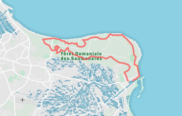 Trail de Fort Boyard - 19km