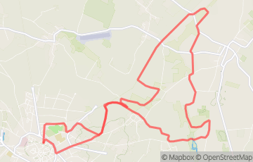 Les Foulées Loudunaises - 20km