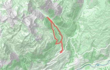 Trail de Combe Bénite - La Bief