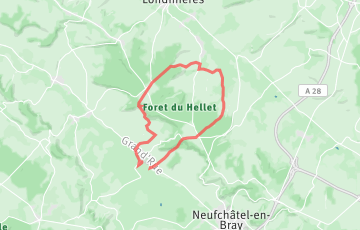Trail Fort et Vert