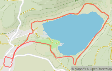 Trail Trait Morbier - Trail de Narlay