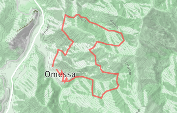 Trail Marcel Rossi - 12km
